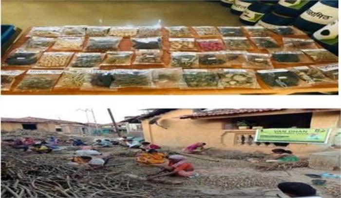 महाराष्ट्र के आदिवासी स्टार्टअप ने 1.5 साल में 18.50 लाख की गिलोय बेची