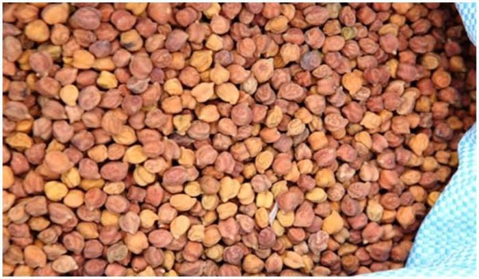 त्योहारी मांग बढ़ने से चने में आई तेजी