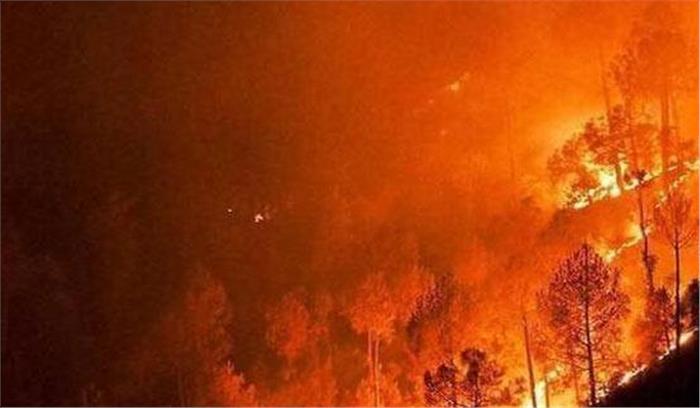  न्यूजीलैंड: जंगलों में आग लगने से 1000 लोगों को बचाया गया