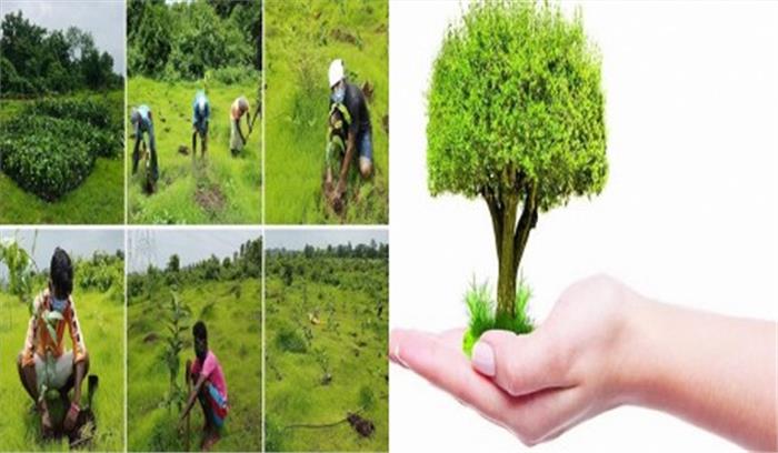 एक पौधा उपहार के तौर पर दें और दुनिया को बेहतर स्थान बनाएं