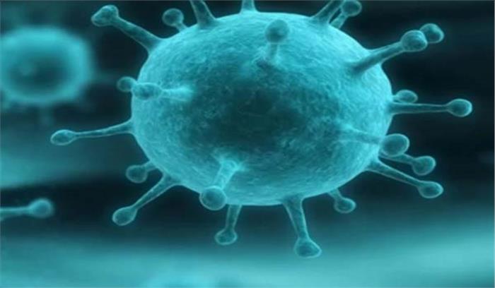 कर्नाटक में निपाह वायरस को लेकर हाई अलर्ट जारी