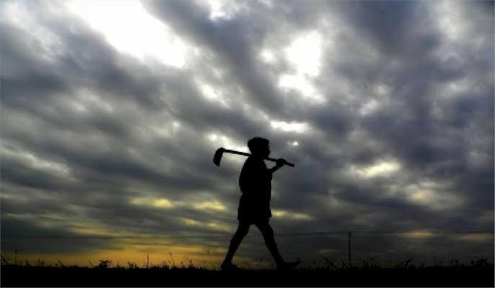 कृषि क्षेत्र के लिए आवंटन बढ़ा, शिक्षा में एफडीआई का प्रस्ताव