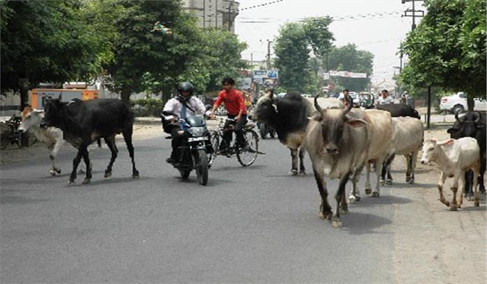 अवैध कब्जे हटाकर गौशाला पार्क की 7 एकड़ जमीन कराई खाली