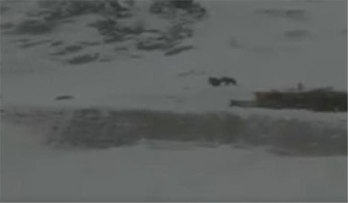 कश्मीर हिमस्खलन में 9 की मौत,  बच्चे समेत 2 लोगों को बचाया