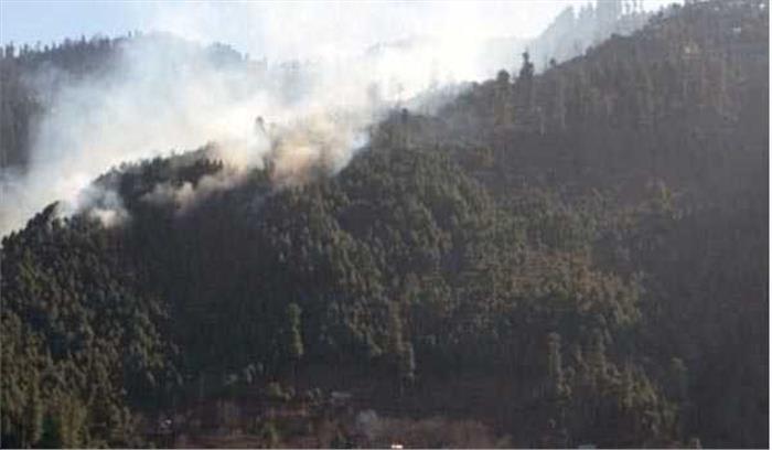 उत्तरी कश्मीर: जंगल में आग लगने से सैकड़ों पेड़ जलकर राख