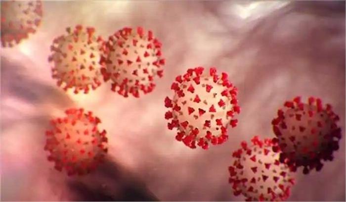 ओडिशा में कोविड-19 के मामलों की संख्या बढ़कर 142 हुई