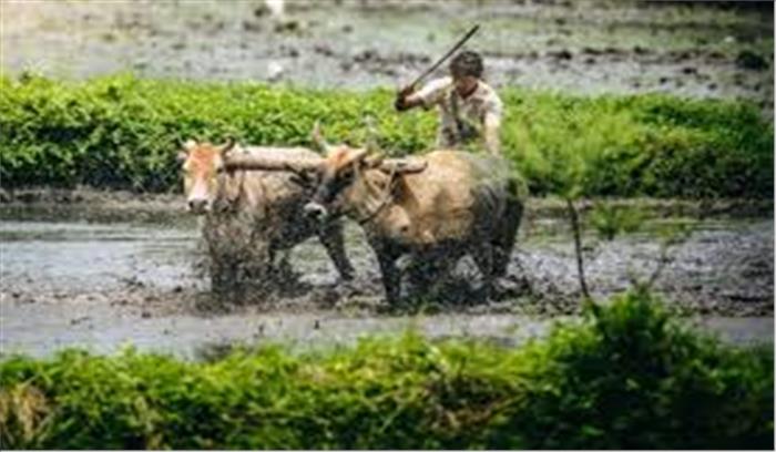 ओडिशा में 1.04 लाख अयोग्य कालिया लाभार्थियों की हुई पहचान: कृषि मंत्री ओडिशा में 1.04 लाख अयोग्य कालिया लाभार्थियों की हुई पहचान: कृषि मंत्री