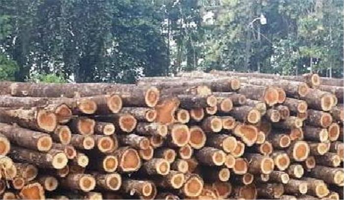 186 नग सागौन जब्त