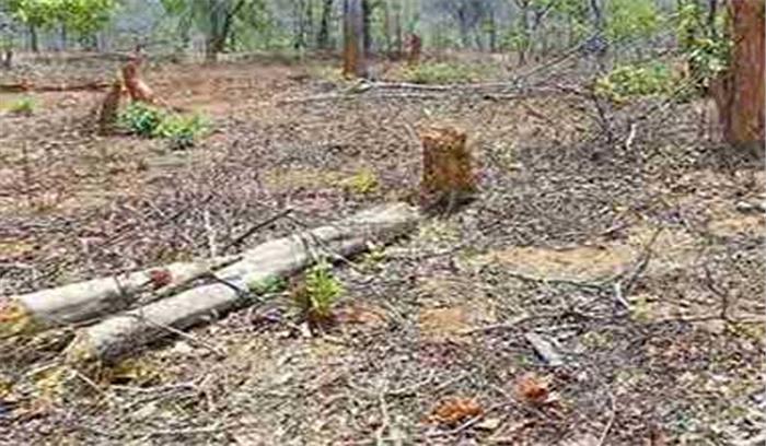वृक्षों की अवैध कटाई के लिए डिप्टी रेंजर जिम्मेदार, किया गया निलंबित