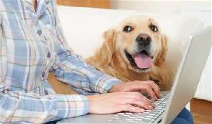 कुत्ते की ऑनलाइन खरीद पर धोखाधड़ी का मामला दर्ज