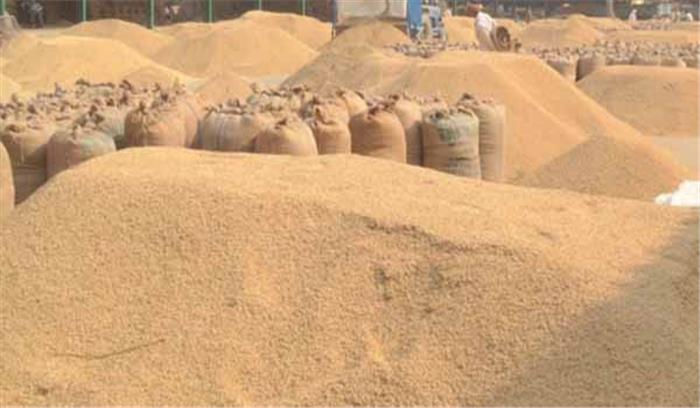 यूपी: धान खरीद की रैंकिंग में देवीपाटन मंडल सबसे आगे