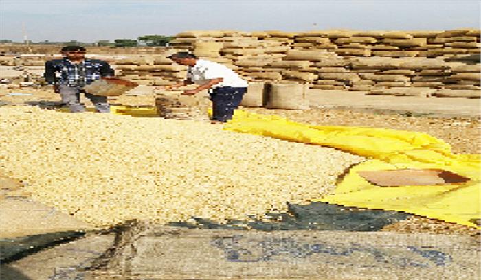 खराब धान की हो रही थी खरीदी, जांच में पहुंचे अधिकारी