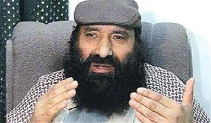 पाकिस्तान ने सलाहुद्दीन के वैश्विक आतंकवादी​​​​​​​ होने से किया इंकार