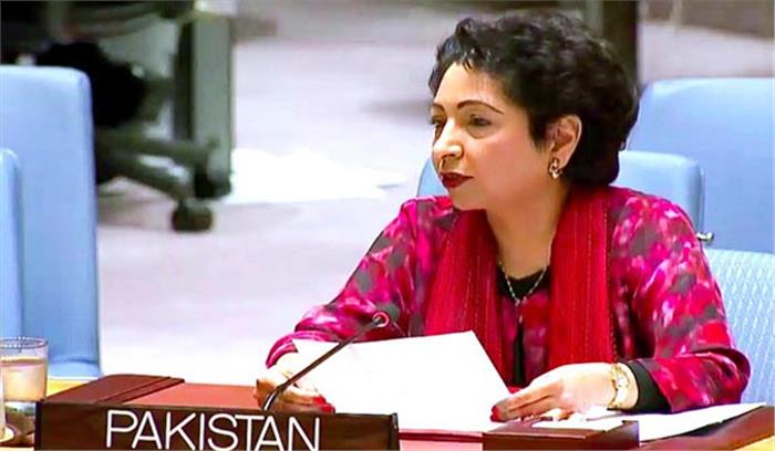 भारत-पाकिस्तान से संबंधित यूएनएमओजीआईपी को विस्तार करने की जरूरत: मलीहा