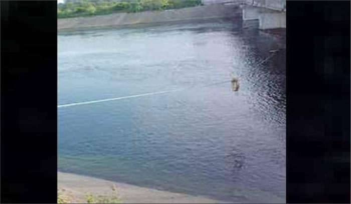 गुजरात : नर्मदा नहर से चार शव बरामद