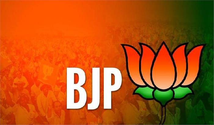 नपा उपाध्यक्ष चुनाव में भाजपा प्रत्याशी विजयी