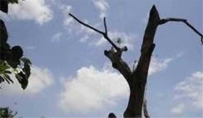 बिहार में आंशिक बदली, बारिश के आसार बिहार में आंशिक बदली, बारिश के आसार