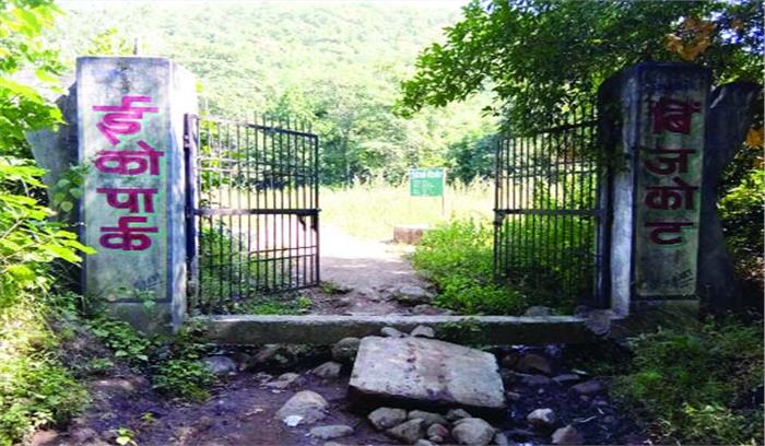 जंगल में तब्दील पिकनिक स्पॉट इकोपार्क