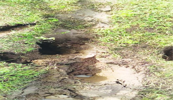 पिथौरा विकासखंड अंतर्गत ग्राम लोहराकोट में पहुंचा हाथी