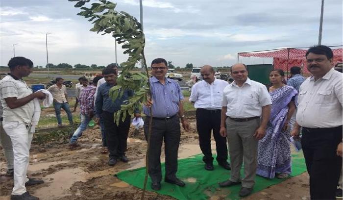 यमुना एक्सप्रेस-वे के आवासीय सेक्टर में 7500 पौधारोपण