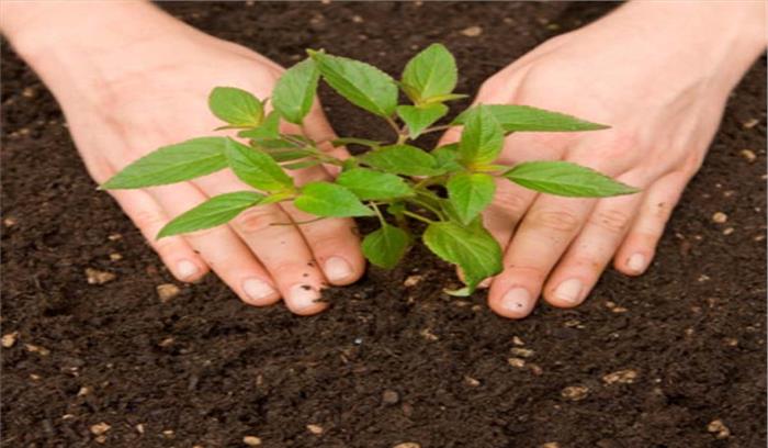 पौधारोपण है पर्यावरण रक्षा का सूत्र’