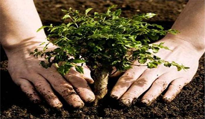 वृक्षारोपण के बाद पौधों की देखरेख कर रहे हैं, पर्यावरण प्रेमी