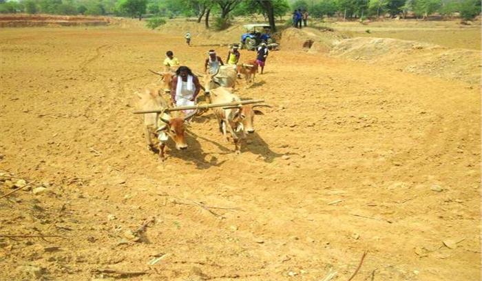 साय ने की गृह ग्राम में बीज की रोपाई