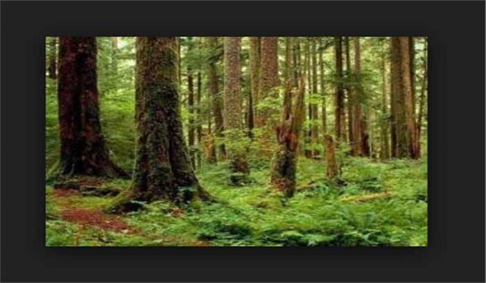 बिहार में जहरीला फल खाने से 3 बच्चों की मौत बिहार में जहरीला फल खाने से 3 बच्चों की मौत