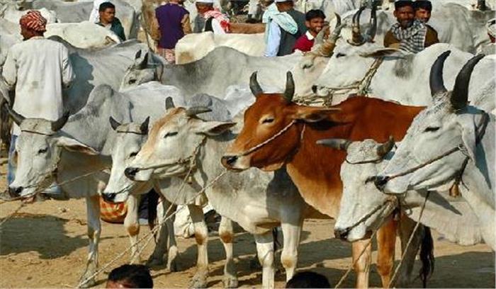  पशुओं पर क्रूरता के आरोप में 2 लोगों को किया गिरफ्तार