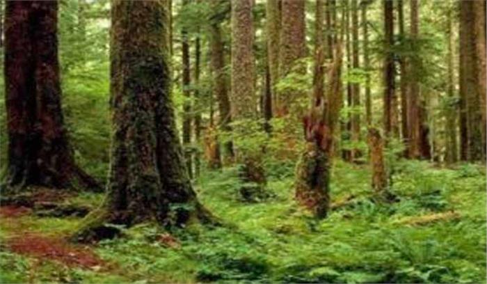 पुलिस ने जंगल से महिला का शव बरामद किया