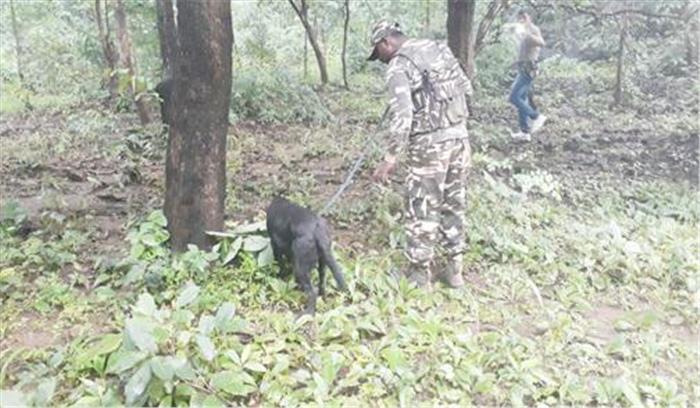 पुलिस ने नक्सलियों द्वारा लगाई गई आईईडी खोज निकाली