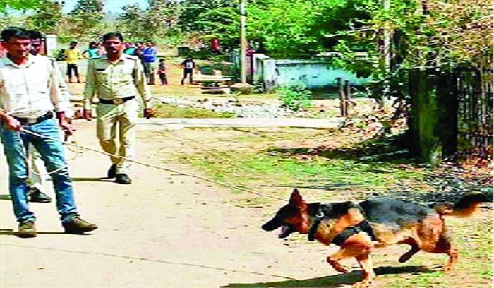 डाक्टर्स कॉलोनी में चोरों का धावा डाक्टर्स कॉलोनी में चोरों का धावा