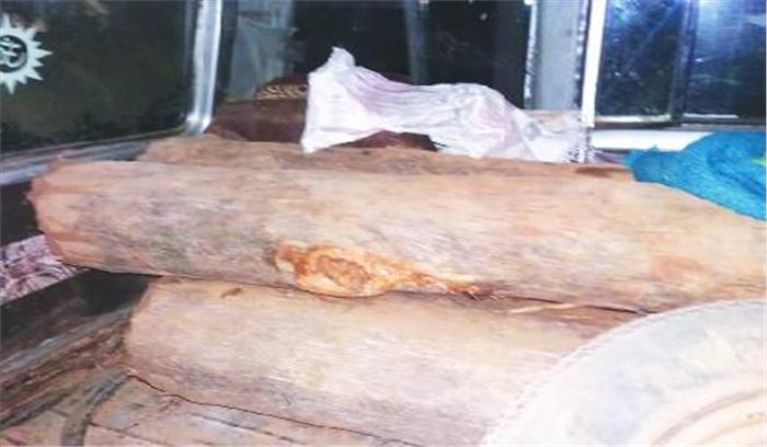 इमारती लकड़ियों से भरा मार्शल जप्त