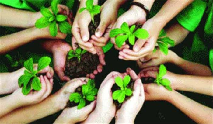 तीन सेक्टर में लगेंगे 30 हजार पौधे तीन सेक्टर में लगेंगे 30 हजार पौधे