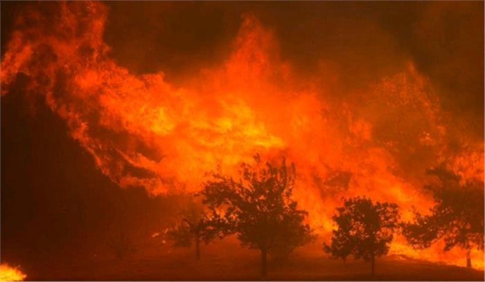 पुर्तगाल : जंगलों में आग से बचाए गए 133 लोग, स्पेन ने भेजी मदद