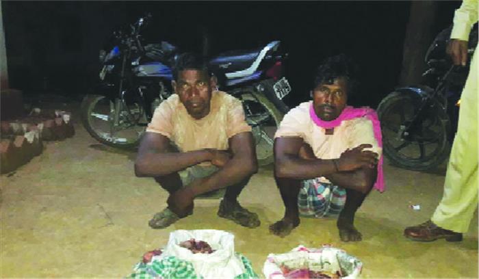 ग्रामीणों ने किया जंगली सुअर का शिकार