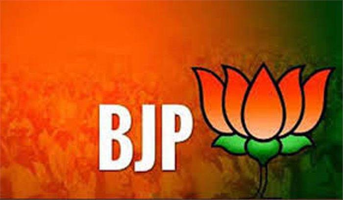 लोकतांत्रिक लोकाचार, देशभक्ति के जोश के कारण भाजपा ऊंचाई पर पहुंची