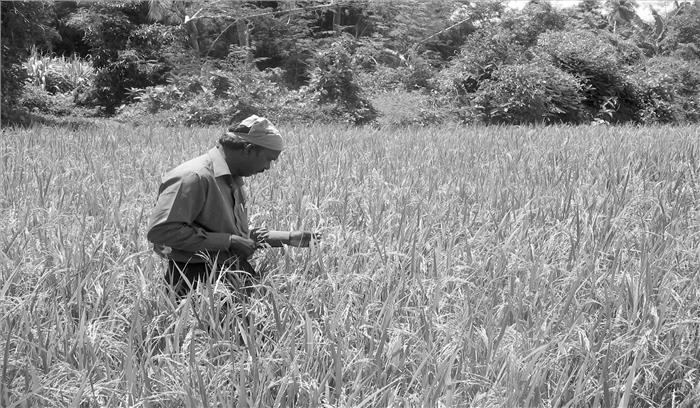प्रधानमंत्री फसल बीमा योजना के तहत किसानों को दिया जाएगा चार स्तर पर लाभ: बाबूलाल