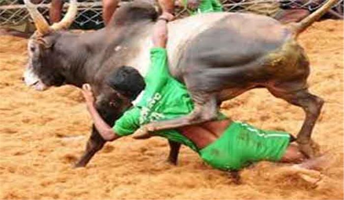 जल्लीकट्टू प्रदर्शनकारियों ने अध्यादेश ठुकराया