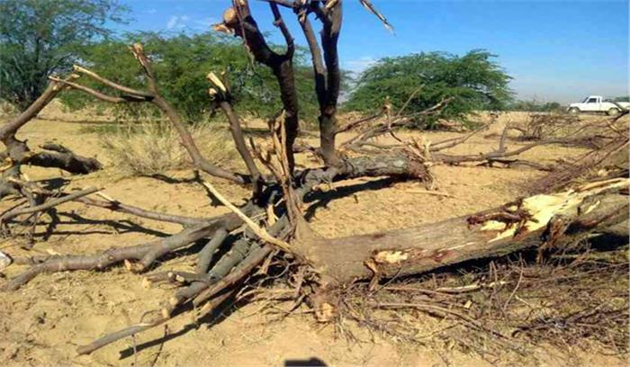 पेड़ों की कटाई का ग्रामीणों ने किया विरोध