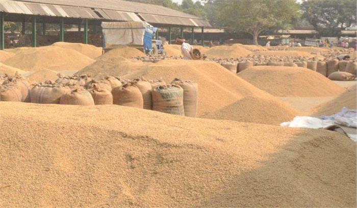 पंजाब में अबतक 17602357 टन धान की खऱीद
