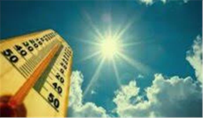 पंजाब, हरियाणा में तेज हवा, बारिश से गिरी गेहूं की तैयार खड़ी फसल