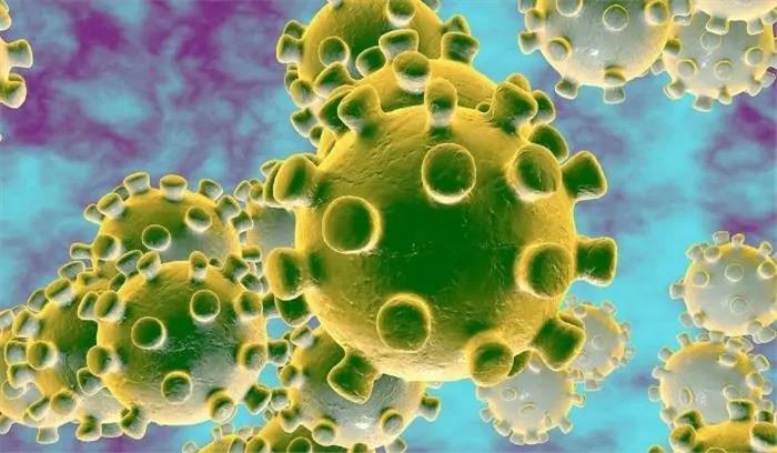 जालंधर में कोरोना के 71 नए मामले सामने आए, एक की मौत जालंधर में कोरोना के 71 नए मामले सामने आए, एक की मौत