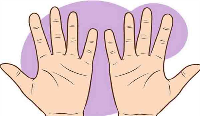 जालंधर: फोटोग्राफर को किया अगवा, काटी हाथ की अंगुलियां