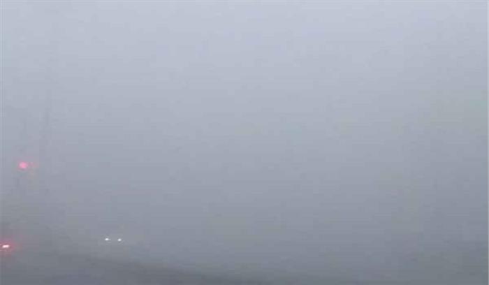 पंजाब: घने कोहरे के कारण सड़क हादसे में 8 की मौत