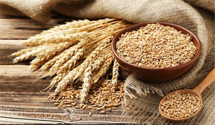 गेहूं का रकबा घटा वहीं दलहनों के रकबे में इजाफा