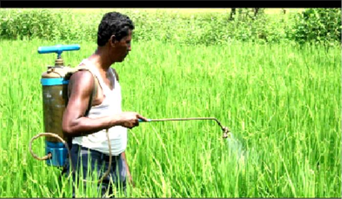 रबी फसलों में नियमित सिंचाई की सलाह