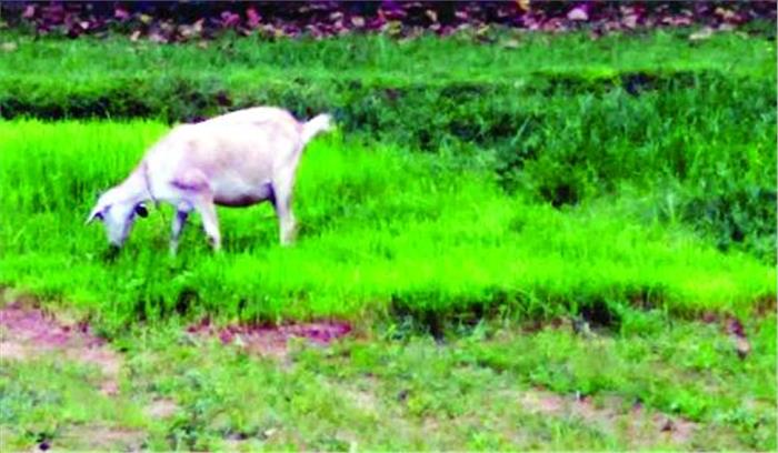 खण्ड वर्षा की स्थिति से अकाल की गहराई छाया