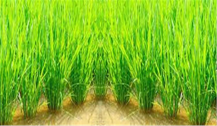 जलधारा में रात भर चला किसानों का जल सत्याग्रह