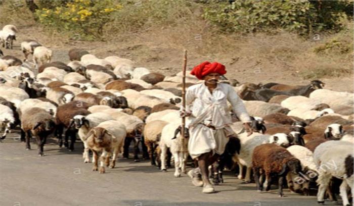 राजस्थान : पशुपालक बेच रहे अमेजन पर उपले